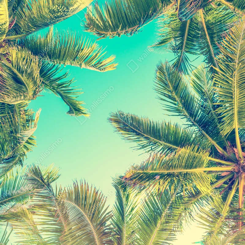 Tischaufkleber und Schreibtischaufkleber vintage türkis palmenhimmel Tischaufkleber und Schreibtischaufkleber vintage türkis palmenhimmel