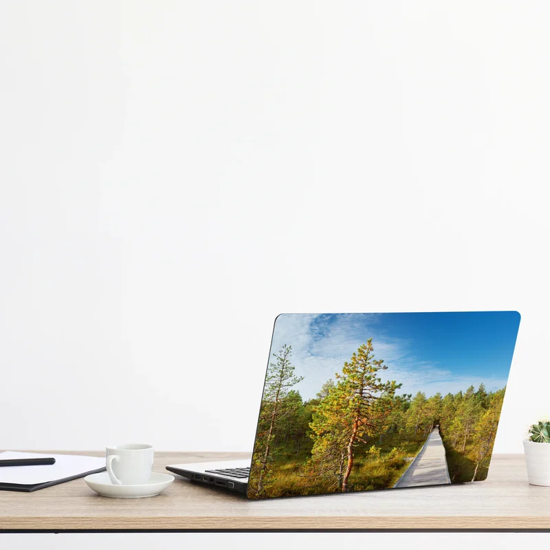 Laptop-Aufkleber sonniger steg durch den kiefernwald