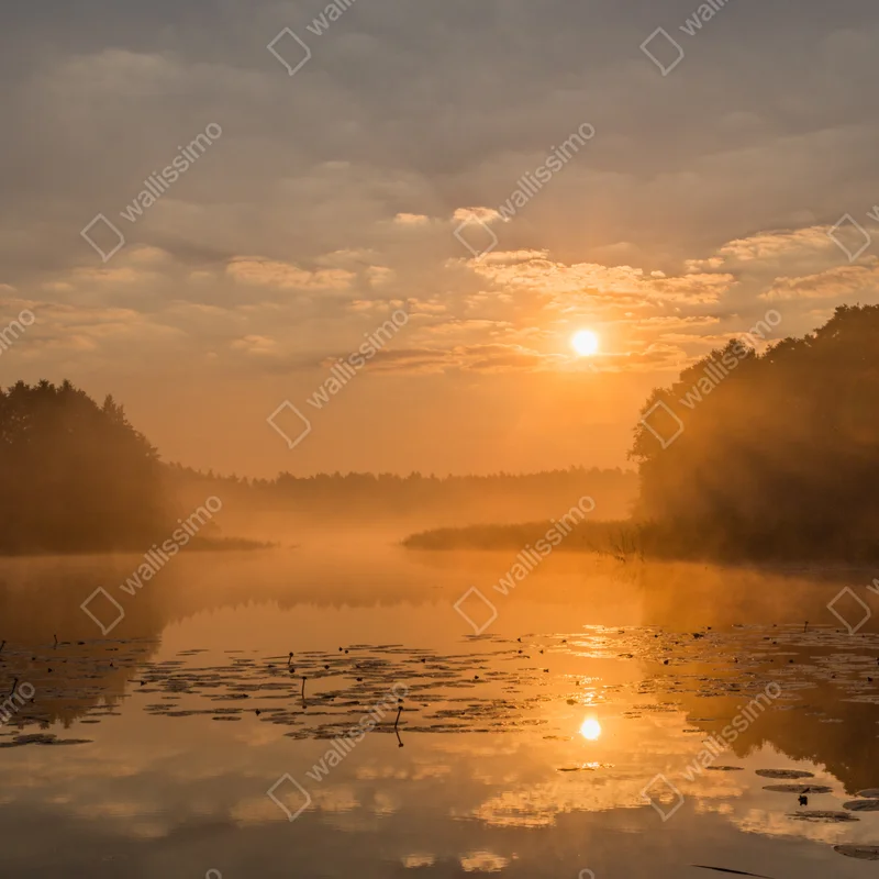Poster goldener morgen über einem nebligen see • Poster bei Wallnifity® Poster goldener morgen über einem nebligen see • Poster bei Wallnifity®