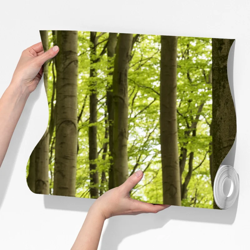 Fototapete ruhiger grüner waldweg Fototapete ruhiger grüner waldweg