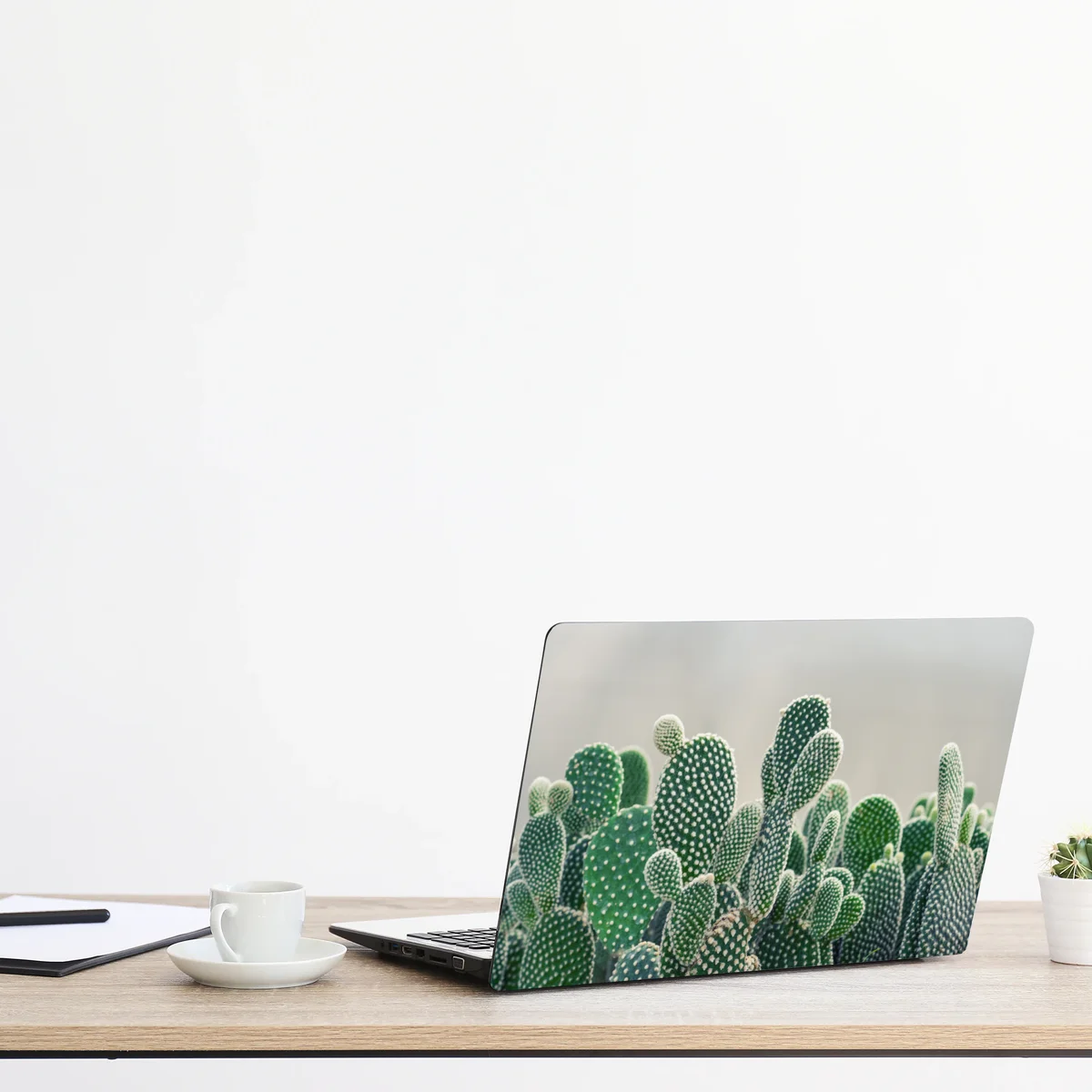 Laptop-Aufkleber nahaufnahme eines opuntienkaktus Laptop-Aufkleber nahaufnahme eines opuntienkaktus