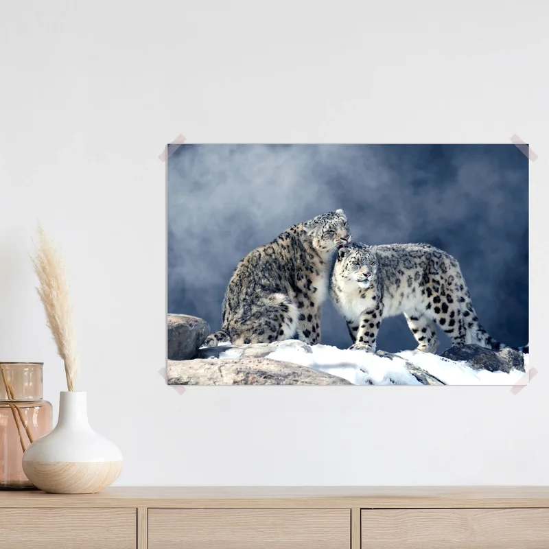 Poster majestätische schneeleoparden im winter Poster majestätische schneeleoparden im winter