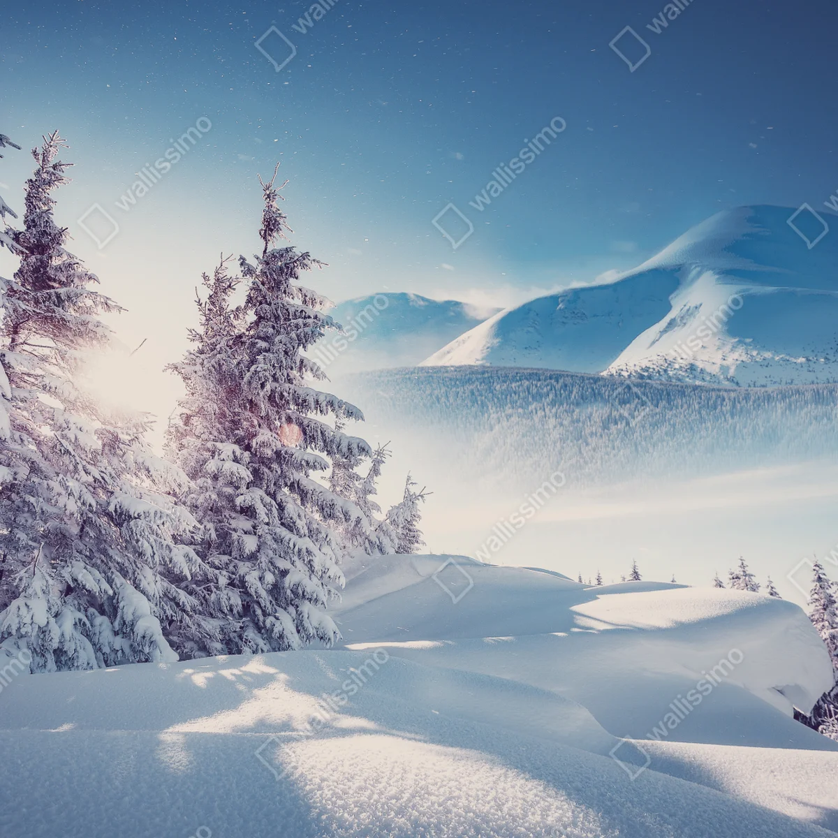 Fototapete majestätische winterlandschaft der Karpaten Fototapete majestätische winterlandschaft der Karpaten