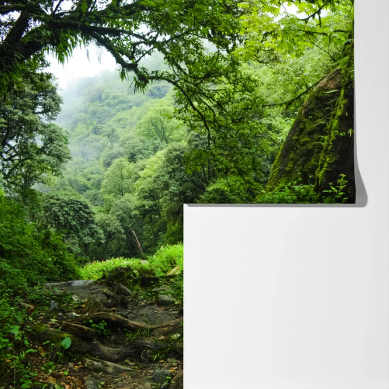 Fototapeta bujny zielony wodospad w lesie Fototapeta bujny zielony wodospad w lesie