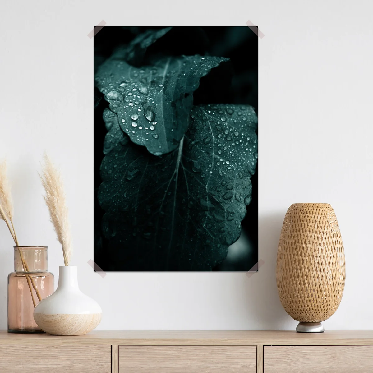 Poster tautropfen auf blättern Poster tautropfen auf blättern