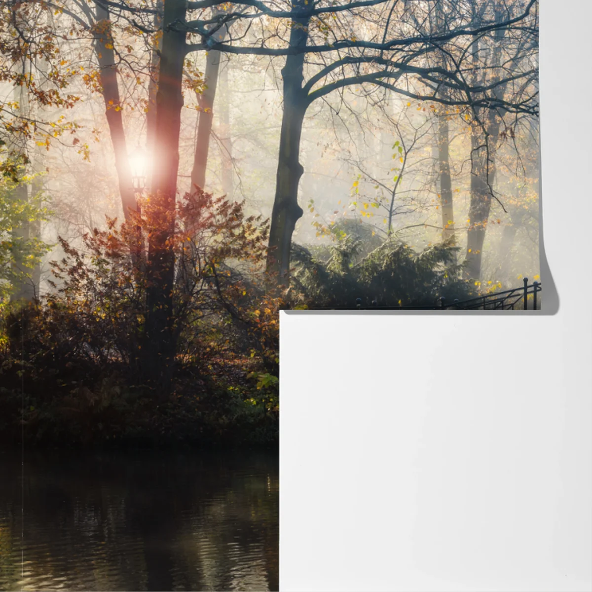 Fototapeta mglisty jesienny most z łabędziem Fototapeta mglisty jesienny most z łabędziem