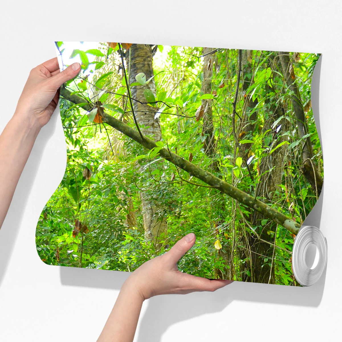 Fototapete tropischer steg im üppigen wald Fototapete tropischer steg im üppigen wald