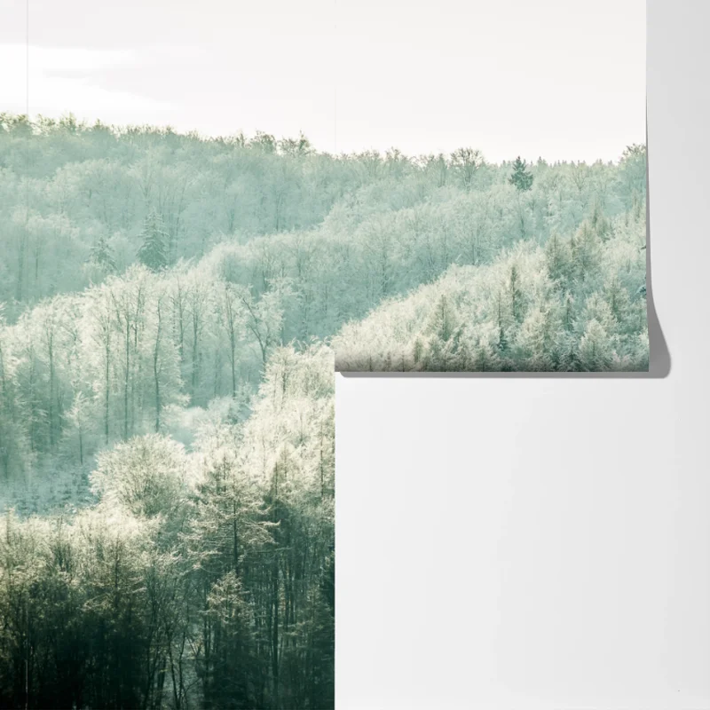 Fototapete nebliger reifbedeckter wald Fototapete nebliger reifbedeckter wald