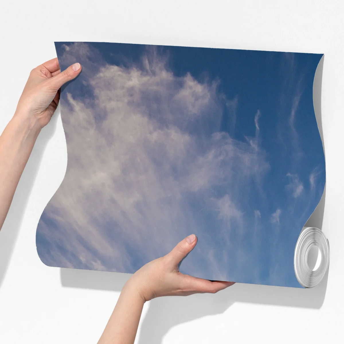 Fototapete grüne wiese mit einer reihe junger bäume Fototapete grüne wiese mit einer reihe junger bäume