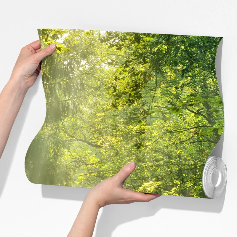 Fototapete sonnenbeschienener waldpfad Fototapete sonnenbeschienener waldpfad