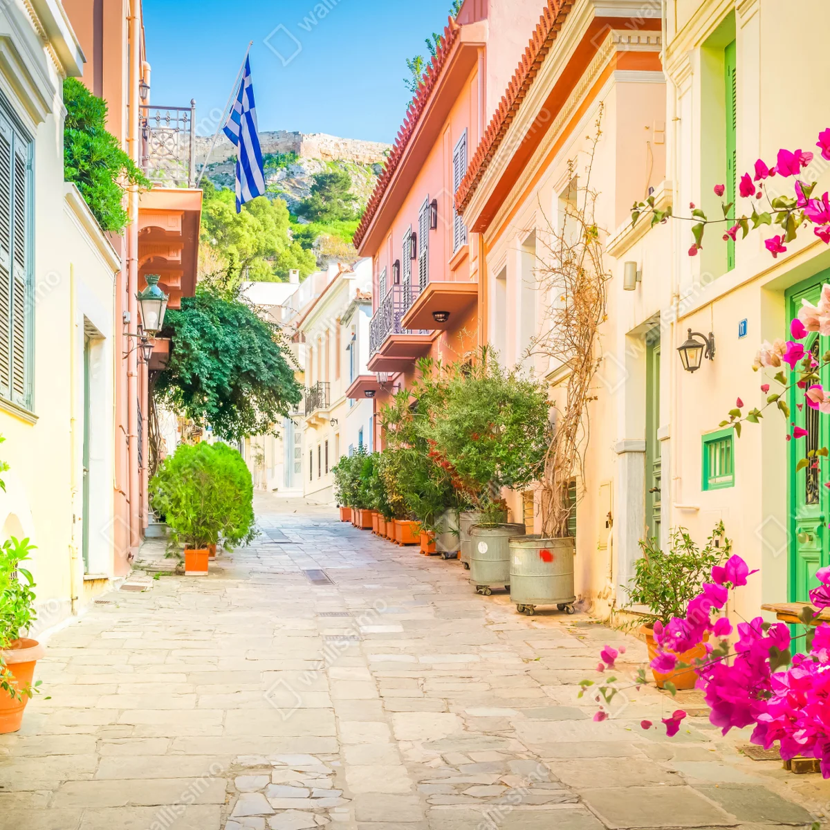 Fototapete sonnige griechische gasse mit bougainvillea Fototapete sonnige griechische gasse mit bougainvillea