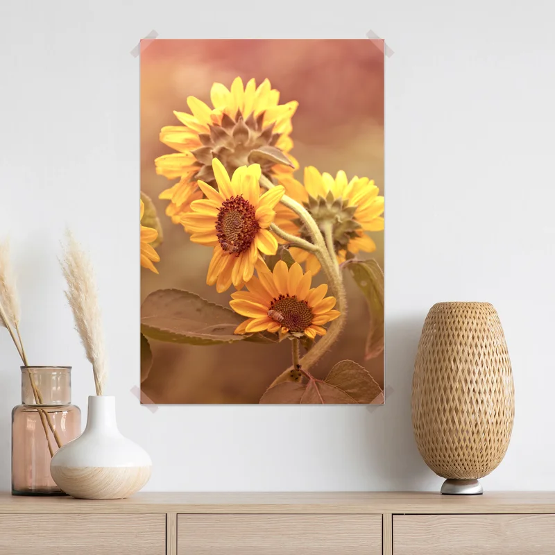 Poster vintage sonnenblumen in warmem licht Poster vintage sonnenblumen in warmem licht