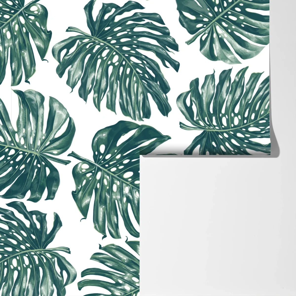 Fototapete monstera blatt botanisches muster Fototapete monstera blatt botanisches muster