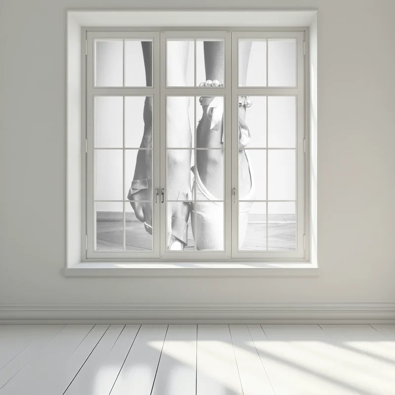 Fensteraufkleber ballettspitze in anmut
