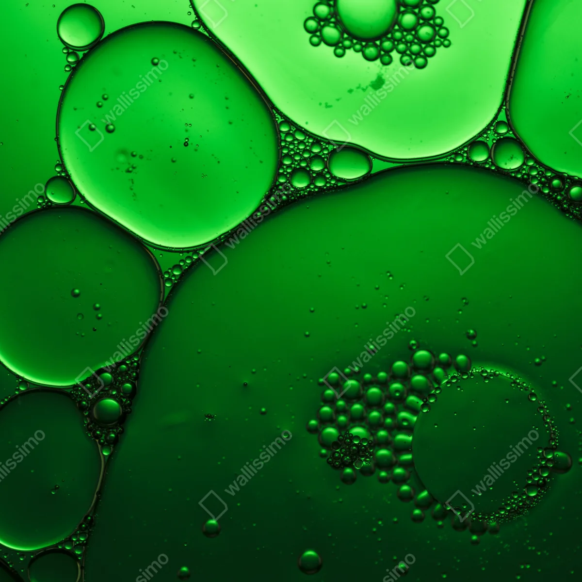 Poster grüne blasen abstrakte komposition Poster grüne blasen abstrakte komposition