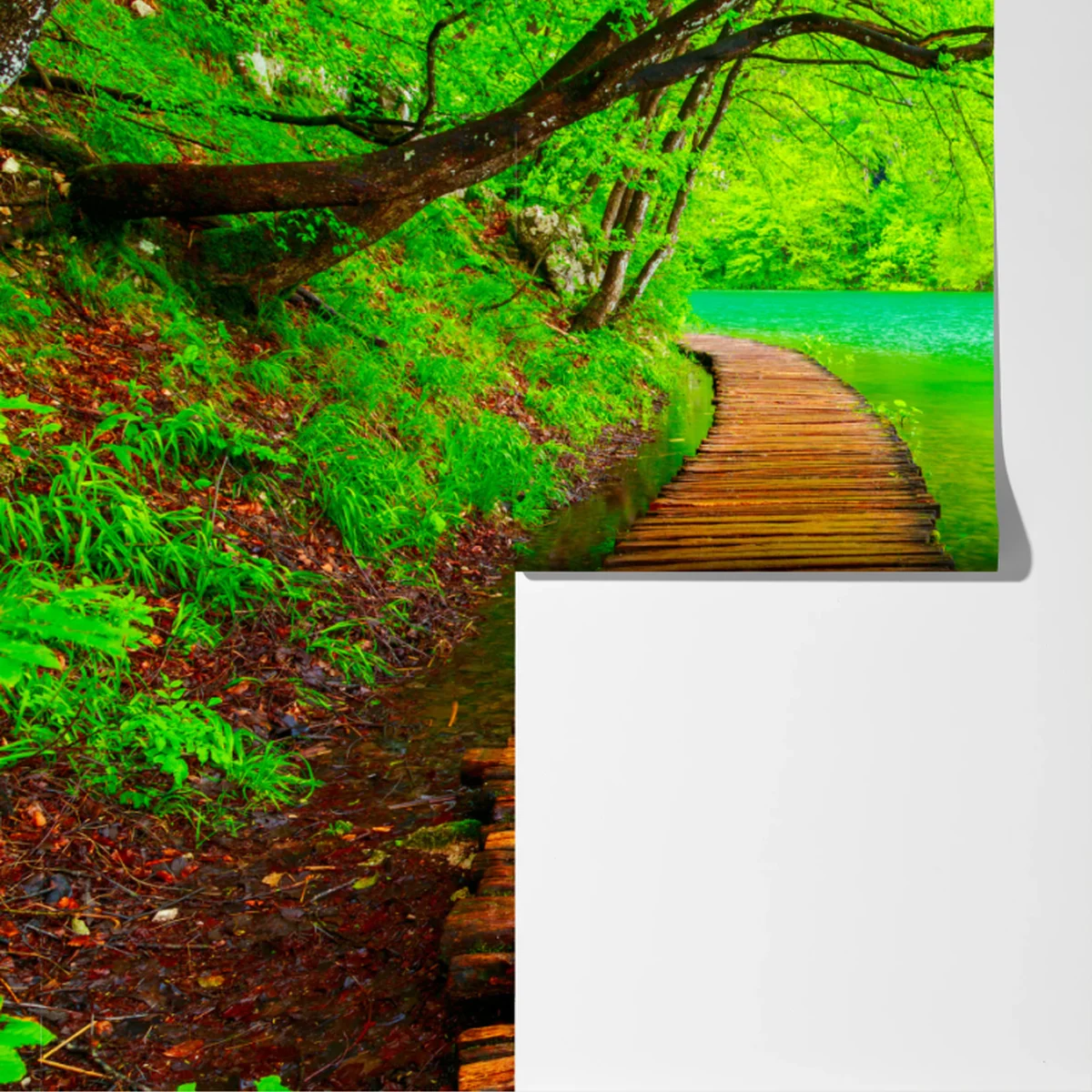 Fototapete ruhiger grüner steg am see Fototapete ruhiger grüner steg am see