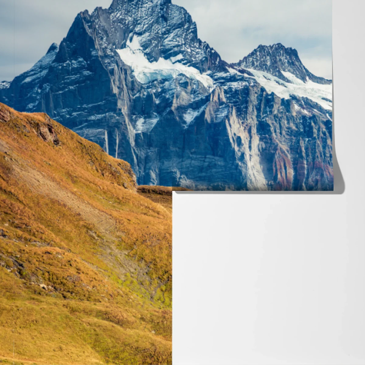 Fototapete morgendliche aussicht am Bachalpsee, Schweizer Alpen Fototapete morgendliche aussicht am Bachalpsee, Schweizer Alpen