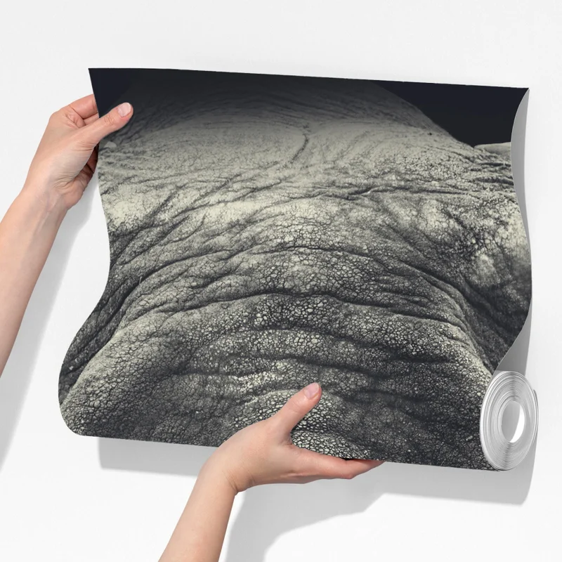 Fototapete majestätisches elefantenportrait in monochrom Fototapete majestätisches elefantenportrait in monochrom