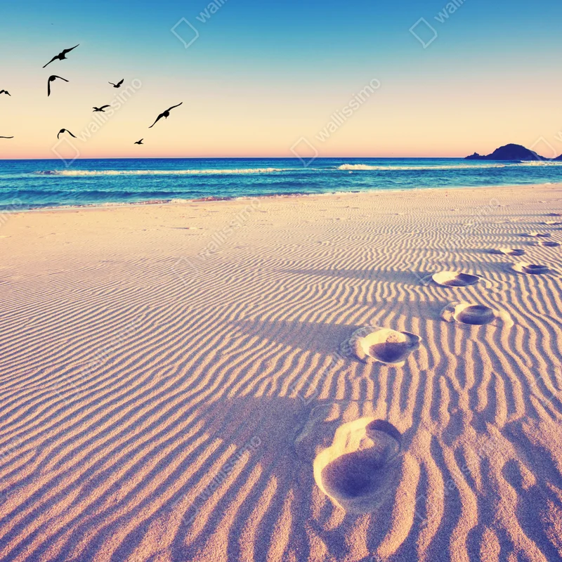 Fototapeta magiczne odciski na letniej plaży Fototapeta magiczne odciski na letniej plaży