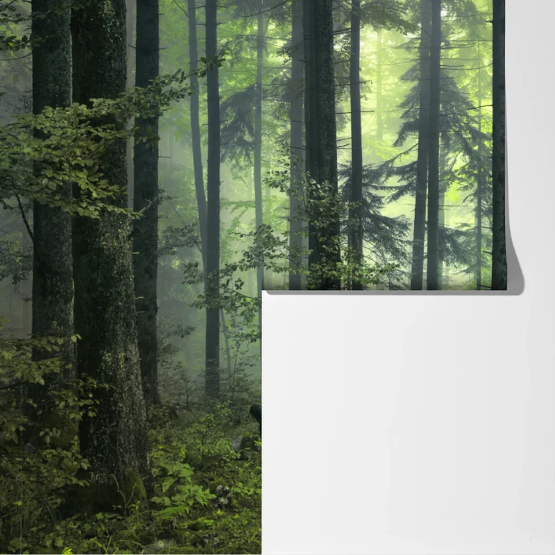 Fototapete mystischer grüner frühlingswald Fototapete mystischer grüner frühlingswald