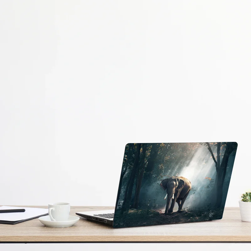 Laptop-Aufkleber majestätischer elefant im sonnenlichtdurchfluteten wald Laptop-Aufkleber majestätischer elefant im sonnenlichtdurchfluteten wald