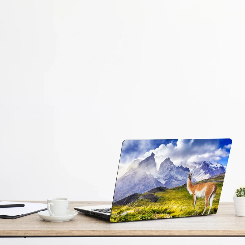 Laptop-Aufkleber Torres del Paine Patagonia landschaft mit guanako
