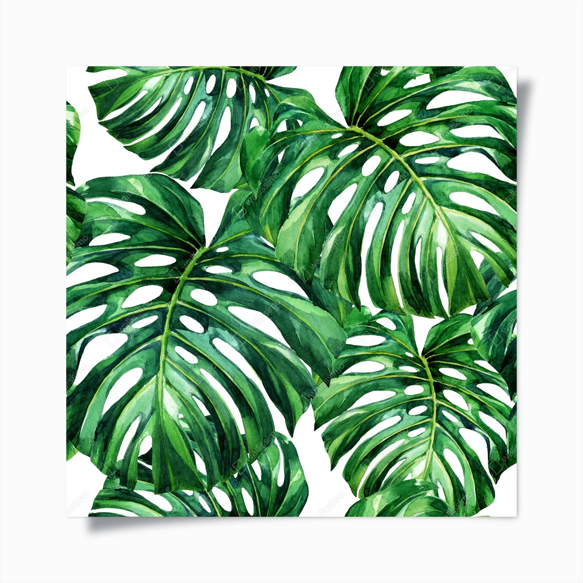 Poster tropisches monstera blatt aquarellmuster • Poster bei Wallnifity® Poster tropisches monstera blatt aquarellmuster • Poster bei Wallnifity®