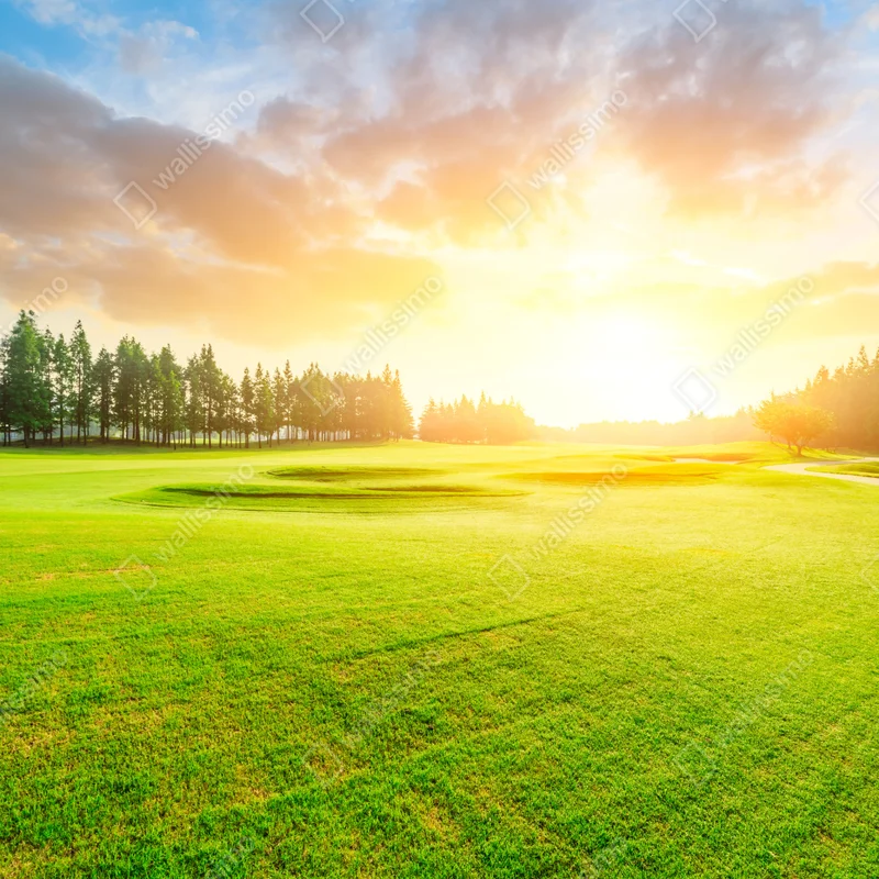 Türaufkleber sonnenbeschienene wiese und wald bei sonnenaufgang Türaufkleber sonnenbeschienene wiese und wald bei sonnenaufgang