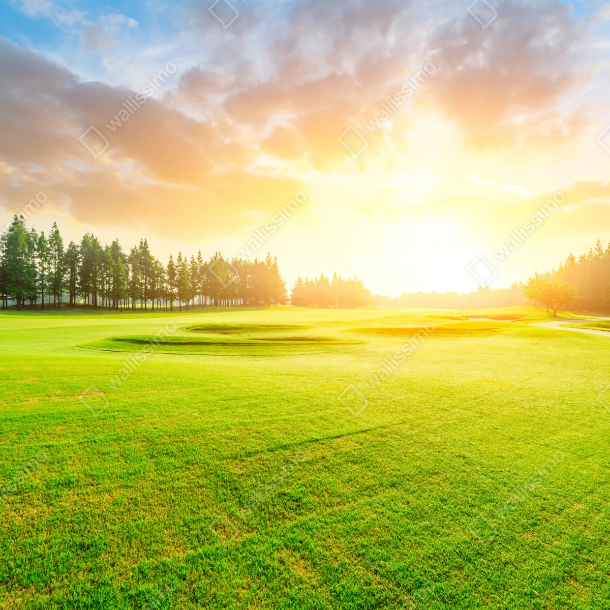 Türaufkleber sonnenbeschienene wiese und wald bei sonnenaufgang Türaufkleber sonnenbeschienene wiese und wald bei sonnenaufgang