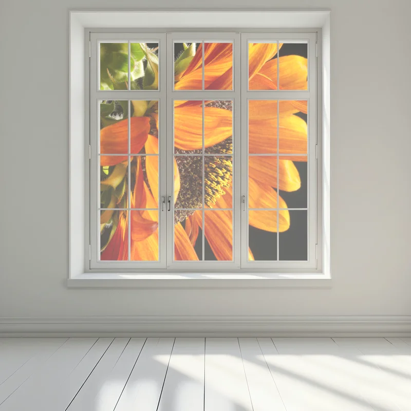 Fensteraufkleber leuchtende orange sonnenblume nahaufnahme