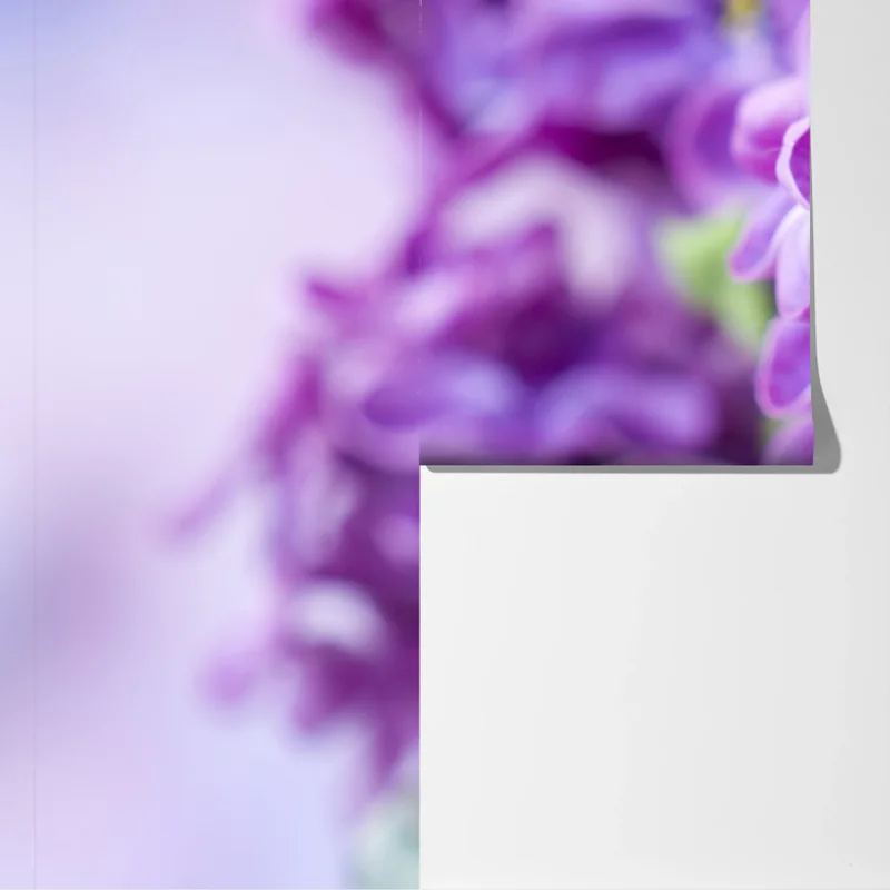 Fototapete lila fliederblüten nahaufnahme Fototapete lila fliederblüten nahaufnahme