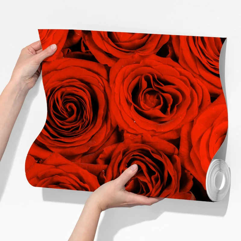 Fototapete prächtiger strauß roter rosen Fototapete prächtiger strauß roter rosen