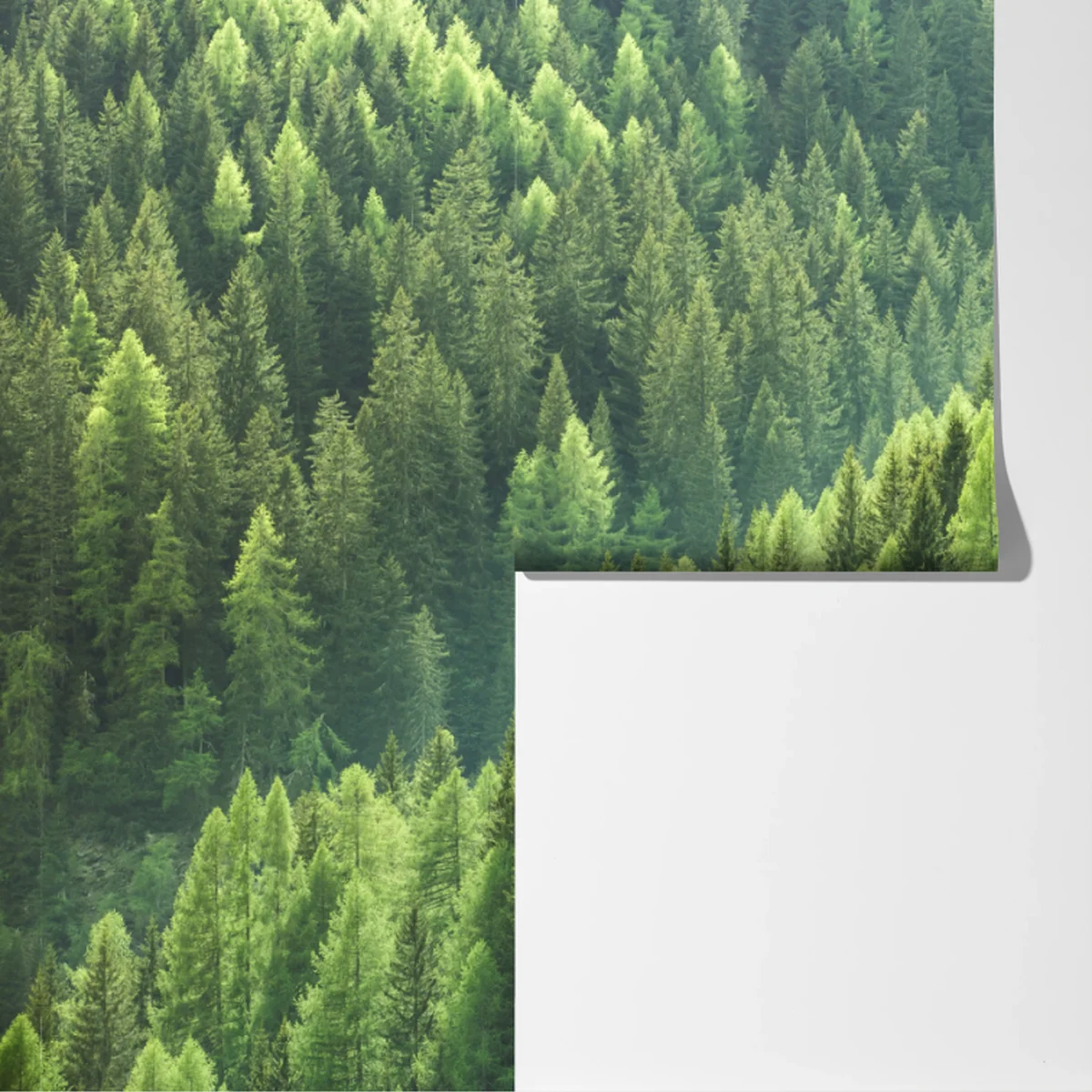 Fototapeta bujna zielona panorama lasu Fototapeta bujna zielona panorama lasu