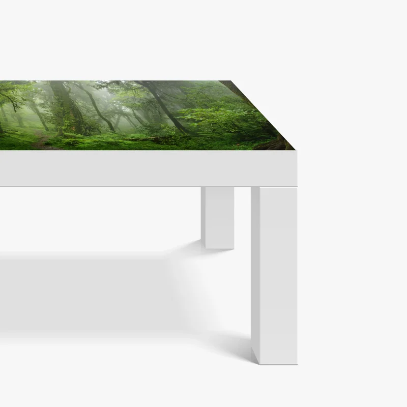 Tischaufkleber und Schreibtischaufkleber nebliger tropischer dschungelpfad Tischaufkleber und Schreibtischaufkleber nebliger tropischer dschungelpfad