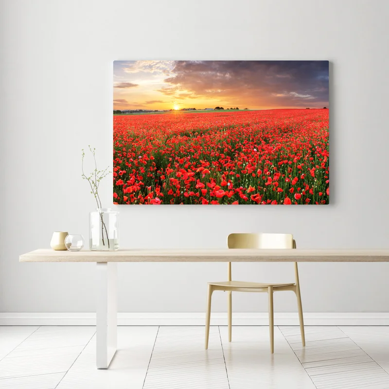 Leinwandbild mohnfeld im sonnenuntergang Leinwandbild mohnfeld im sonnenuntergang