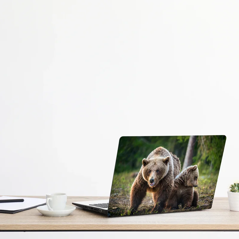 Laptop-Aufkleber braunbär mit jungem im wald
