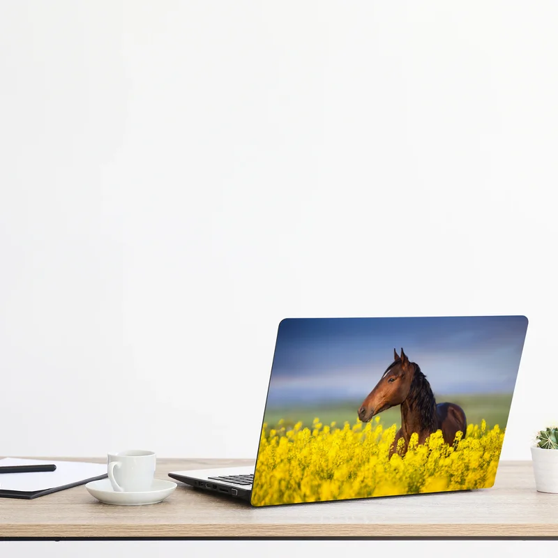 Naklejka na laptopa gniady koń na polu rzepaku