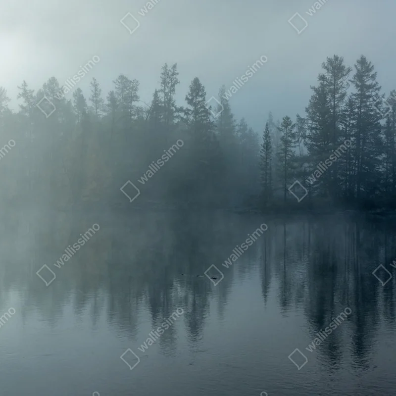 Poster Morgennebel auf dem Fluss Hombolok • Poster bei Wallnifity® Poster Morgennebel auf dem Fluss Hombolok • Poster bei Wallnifity®