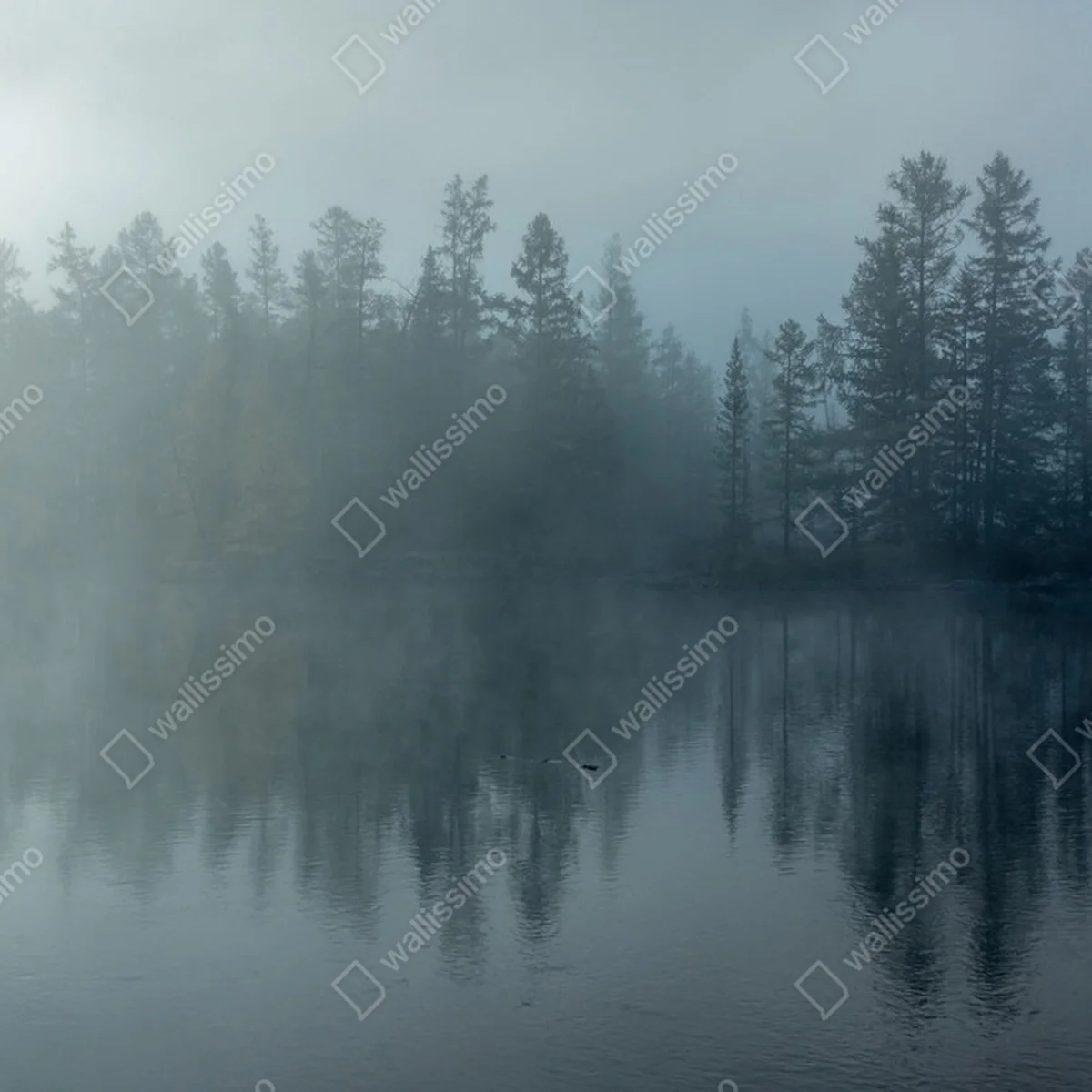 Poster Morgennebel auf dem Fluss Hombolok • Poster bei Wallnifity® Poster Morgennebel auf dem Fluss Hombolok • Poster bei Wallnifity®