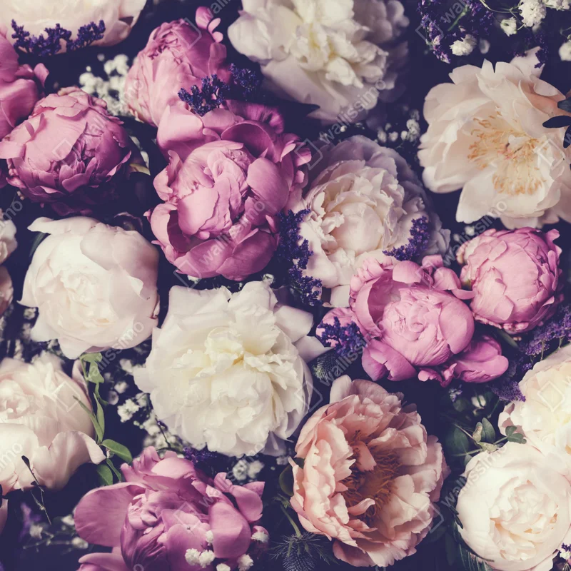 Fensteraufkleber romantischer pfingstrosenstrauß in pastelltönen Fensteraufkleber romantischer pfingstrosenstrauß in pastelltönen