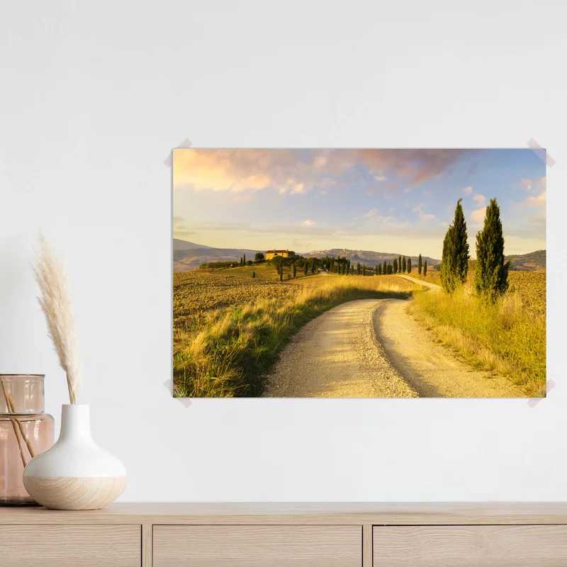 Poster goldene landstraße zwischen zypressen Poster goldene landstraße zwischen zypressen