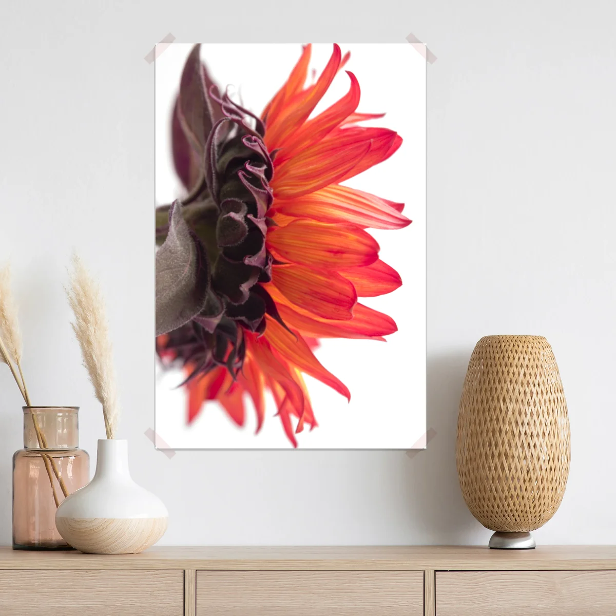 Poster intensive orange sonnenblume nahaufnahme Poster intensive orange sonnenblume nahaufnahme