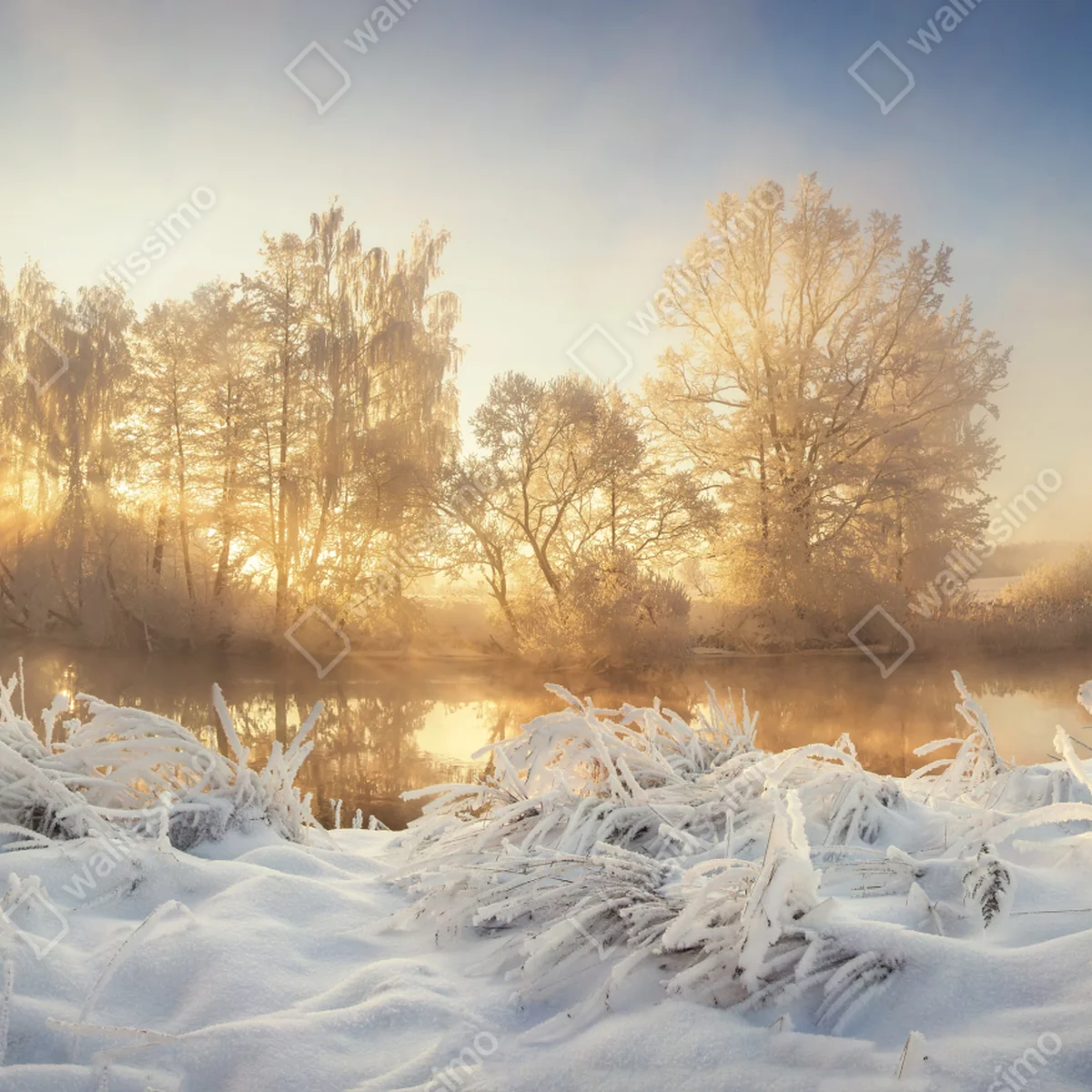 Fototapete goldener wintersonnenaufgang über dem frostigen fluss Fototapete goldener wintersonnenaufgang über dem frostigen fluss