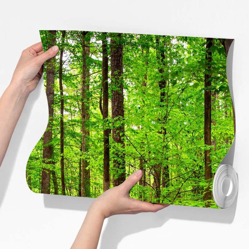 Fototapete ruhiger grüner waldpfad Fototapete ruhiger grüner waldpfad