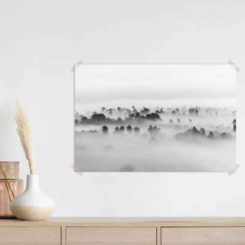 Poster nebliger wald in monochrom Poster nebliger wald in monochrom