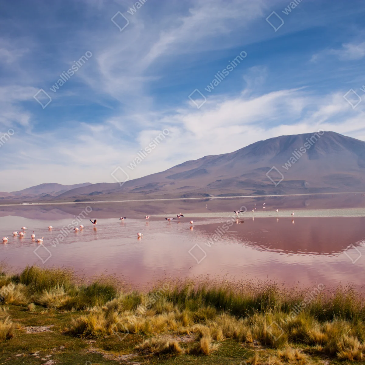 Repositionierbarer Aufkleber rosa lagune mit flamingos und bergspiegelung Repositionierbarer Aufkleber rosa lagune mit flamingos und bergspiegelung