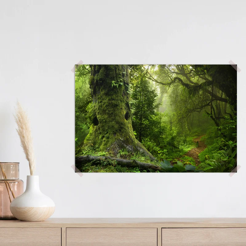 Poster moosiger alter waldpfad Poster moosiger alter waldpfad