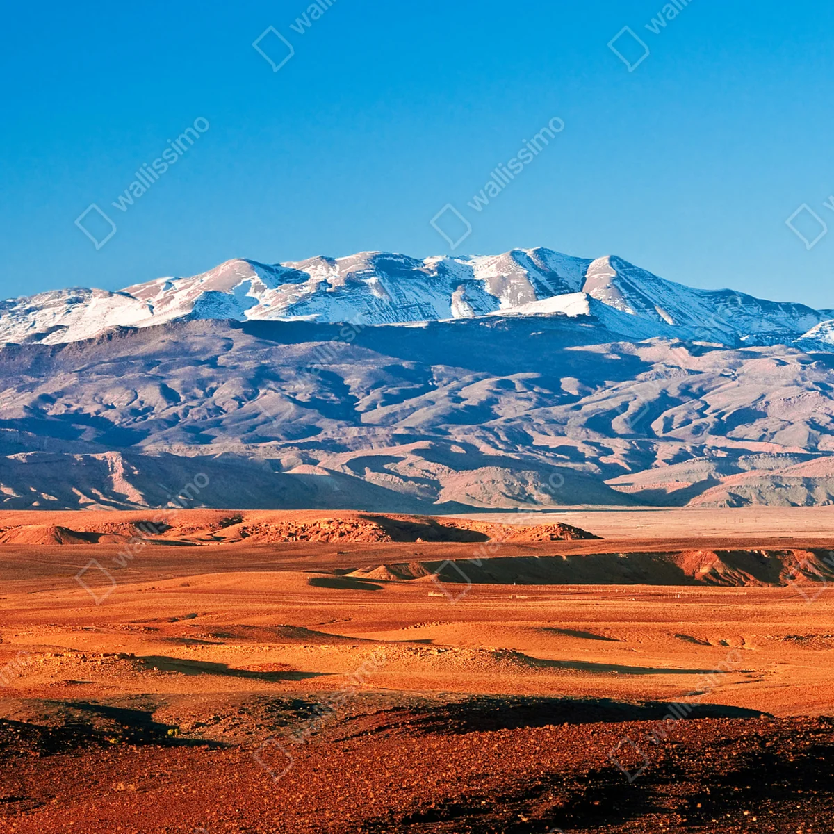 Fototapeta pustynia oświetlona słońcem z zaśnieżonymi górami Fototapeta pustynia oświetlona słońcem z zaśnieżonymi górami