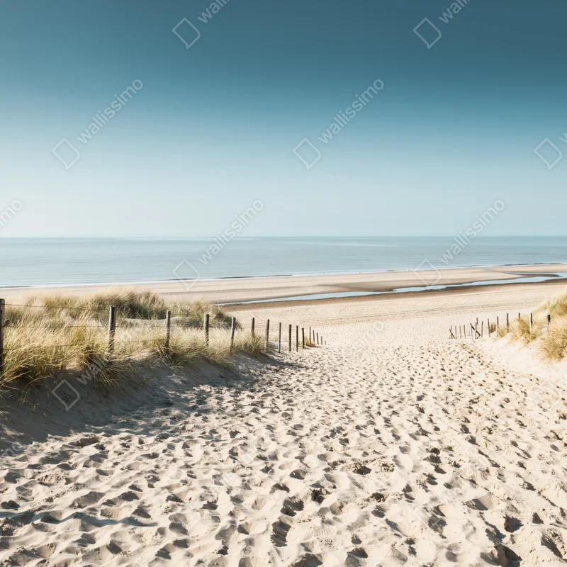 Fensteraufkleber sanddünen und ruhige Nordsee bei Noordwijk Fensteraufkleber sanddünen und ruhige Nordsee bei Noordwijk