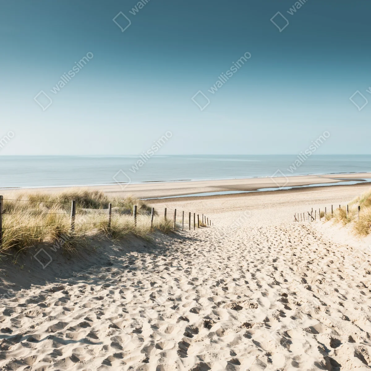 Fensteraufkleber sanddünen und ruhige Nordsee bei Noordwijk Fensteraufkleber sanddünen und ruhige Nordsee bei Noordwijk